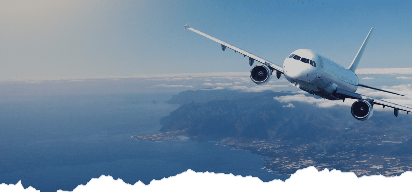 サントドミンゴ専用 newbalance #ニューバランス#ニューバランス993 #ニューバランス